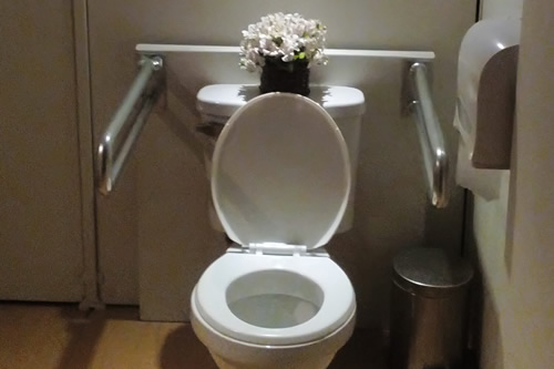 Baños para discapacitados